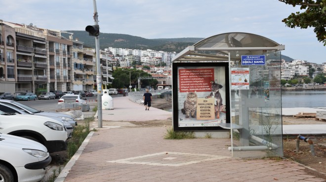 Dikili'de can dostlar için afişli çağrı!