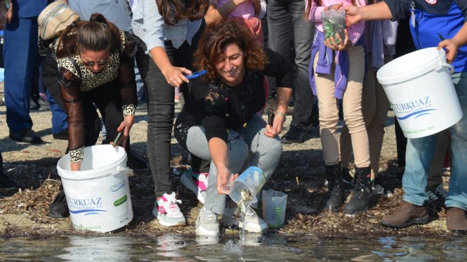 Dikili'de denize 15 bin yavru balık bıraktılar