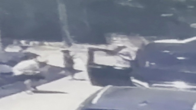 Can Polat cinayetinde  Daltonlar  iddiası: Esas hedef Engin Polat mış!