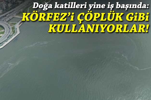 Doğa katilleri yine iş başında: Körfez'i çöplük gibi kullanıyorlar!