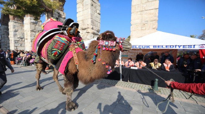 Efes Selçuk'ta altın havan sahibini buldu