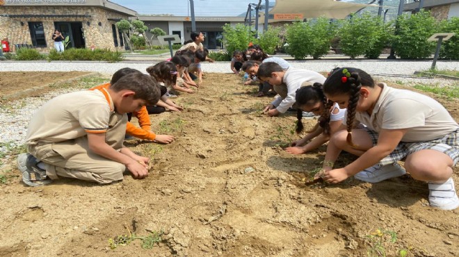 Efes Selçuk'ta fideler toprakla buluştu