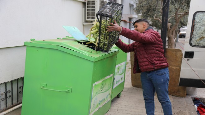 Efes Selçuk ta organik dönüşüm!