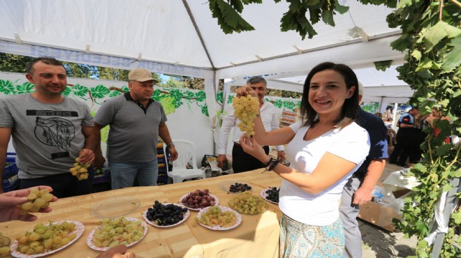 Efes Selçuk ta üzüm şenliği heyecanı