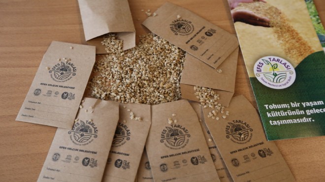 Efes Selçuk un yerel tohumları Türkiye ye yayılıyor