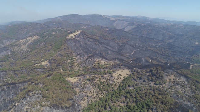 Ege Orman Vakfı ve 9 STK İzmir için el ele: Hedef 1 milyon fidan!