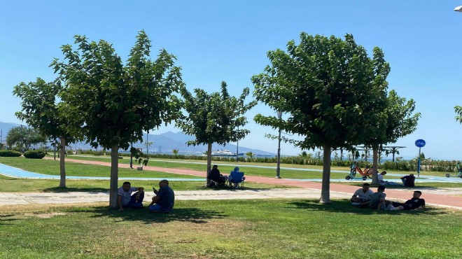 Ege için kritik uyarı: Sıcaklıklar 6 derece birden artacak!