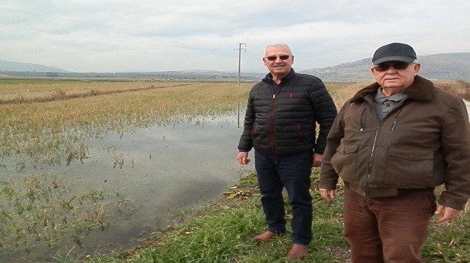 Ekili alanları sular altında kalan Foçalı çiftçiden DSİ'ye 'su tahliyesi' çıkışı