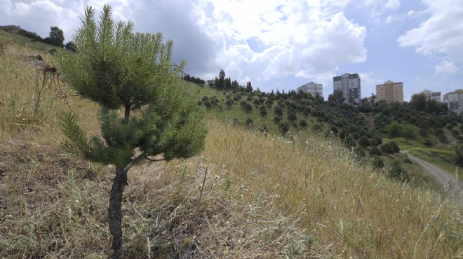 Ekoloji Fuarı İzmir'e nefes katıyor