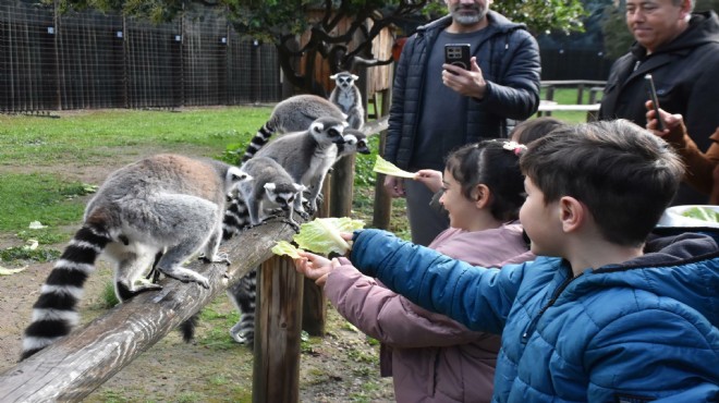 Engelli çocuklar, lemurlarla tanıştı