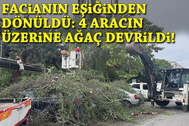 Facianın eşiğinden dönüldü: 4 otomobilin üzerine ağaç devrildi