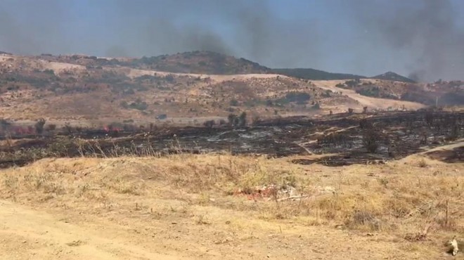 Foça'da 4 hektar makilik kül oldu!
