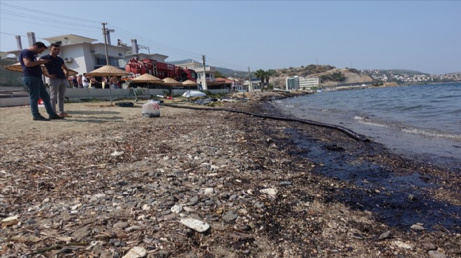 Foça da denizi karartan madde belli oldu!