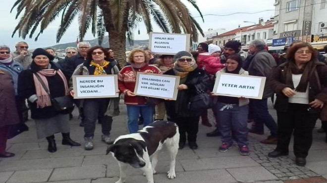 Foça'da hayvanlara şiddet tepkisi