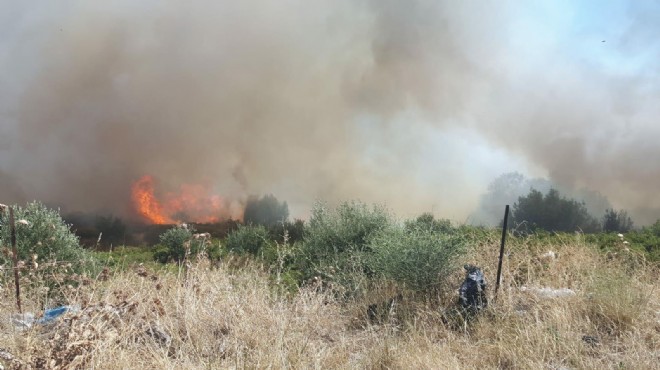 Foça'da makilik alanda korkutan yangın