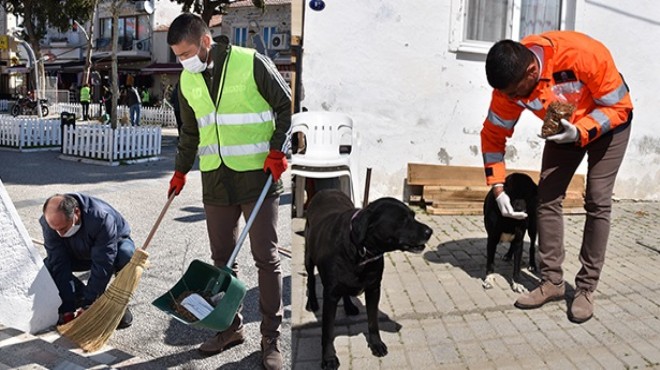 Foça'da virüse karşı tedbirler arttı... Can dostlar da unutulmadı