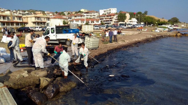 Foça'daki çevre felaketinde flaş gelişme!