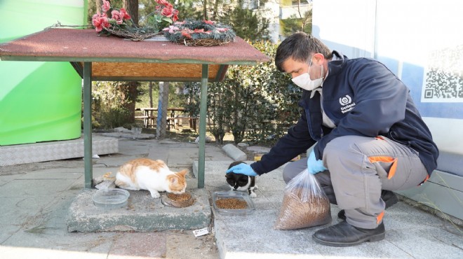 Gaziemir'de 5 bin 304 hayvana şefkat eli uzandı