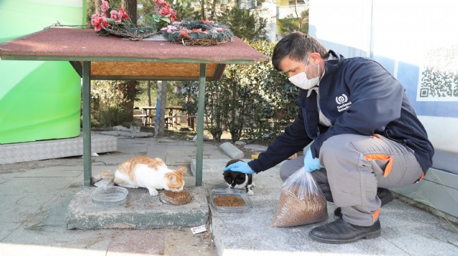 Gaziemir’de 5 bin 304 hayvana şefkat eli uzandı