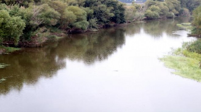 Gediz Nehri nde balık ölümleri  sürüyor