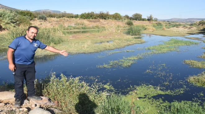 Gediz Nehri'ndeki kirlilik ve kokuya tepki