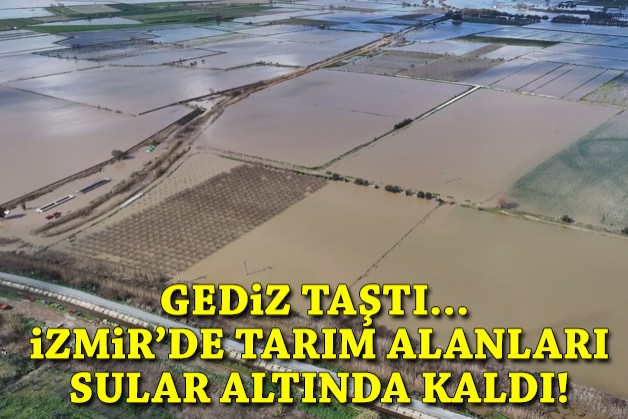 Gediz taştı... İzmir'de tarım alanları sular altında kaldı