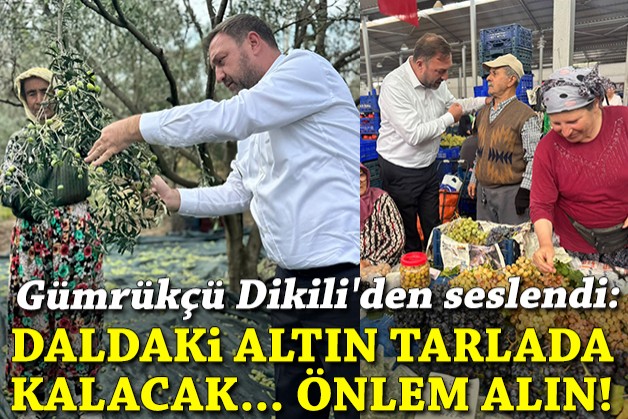 Gümrükçü Dikili'den seslendi: Daldaki altın tarlada kalacak, acil önlem alın!