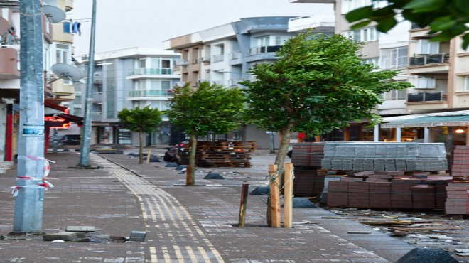 Güngören Caddesi yeşillenecek!