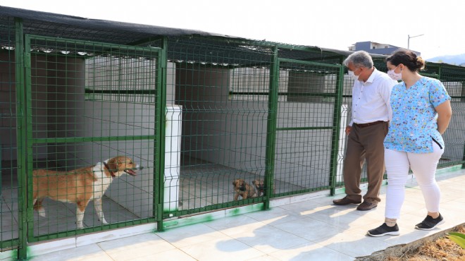 Güzelbahçe'de can dostlara yeni yuva