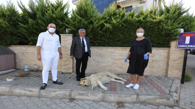 Güzelbahçe'de gündüz çiftine ‘İnce' ziyaret