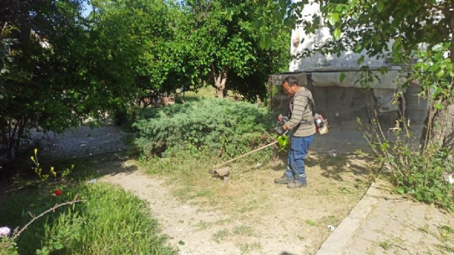 Güzelbahçe'de ot temizliği harekatı!