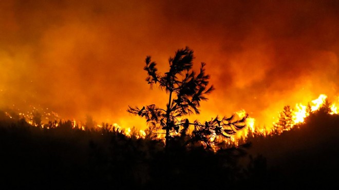 İçişleri'nden 81 ile orman yangınları genelgesi