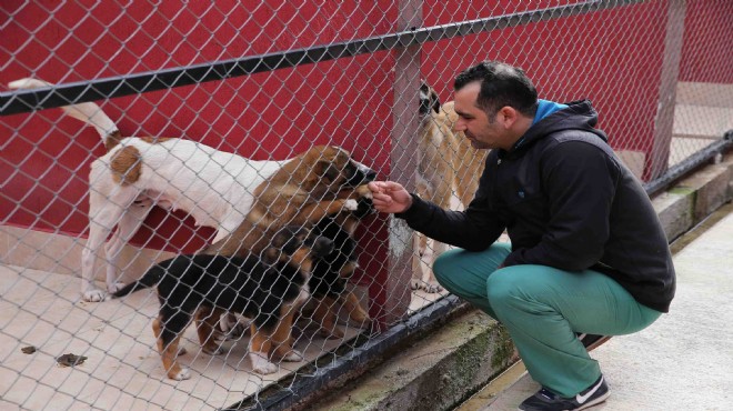 İki belediyeden ortak kısırlaştırma hamlesi