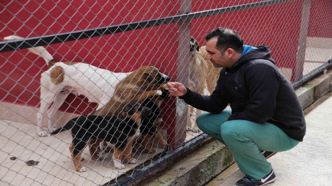 İki komşu belediyeden can dostlar için örnek iş birliği