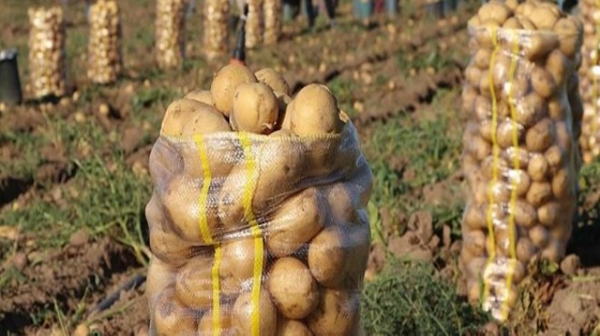 İngiltere'den patates raporu: Dikkat!
