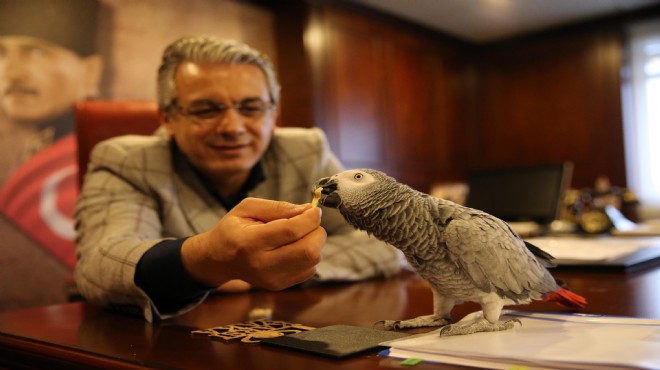 İzmir'in başkanlarından işkenceye 'sevgi dolu' tepki!