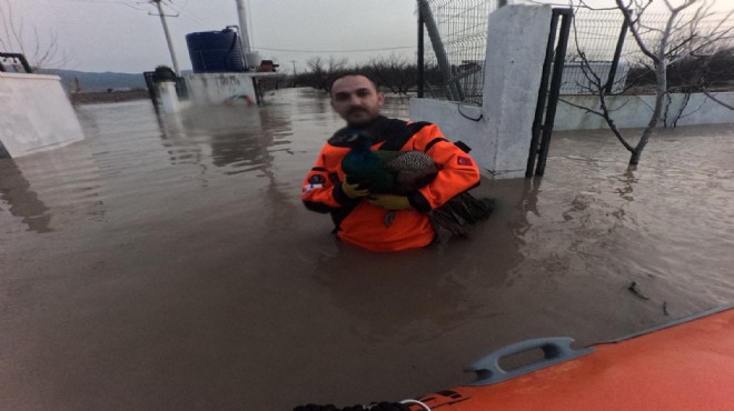 İzmir İtfaiyesi nden sessiz canlar için seferberlik