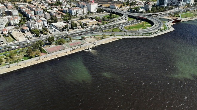 İzmir Körfezi nde koku kabusu sürüyor!