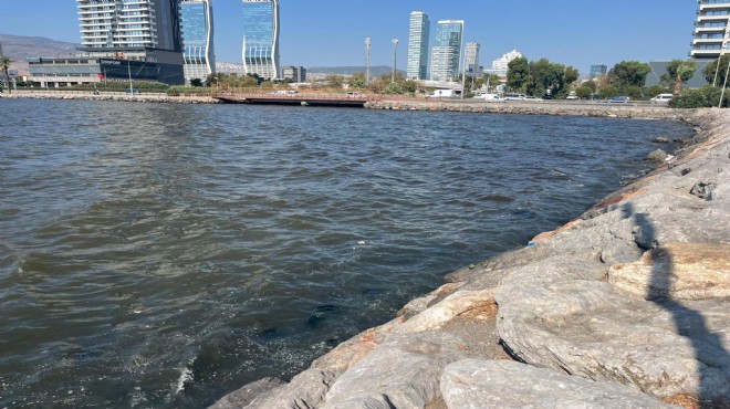 İzmir Körfezi ndeki pis koku yeniden ortaya çıktı