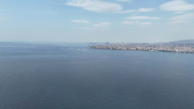İzmir Körfezi nden sevindiren haber!