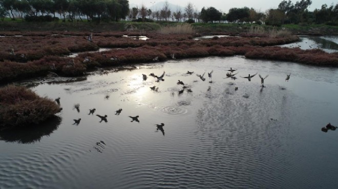 İzmir Körfezi'nin usta balık avcıları