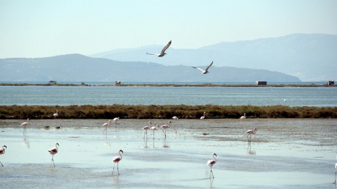 İzmir Kuş Cenneti'ne can suyu!