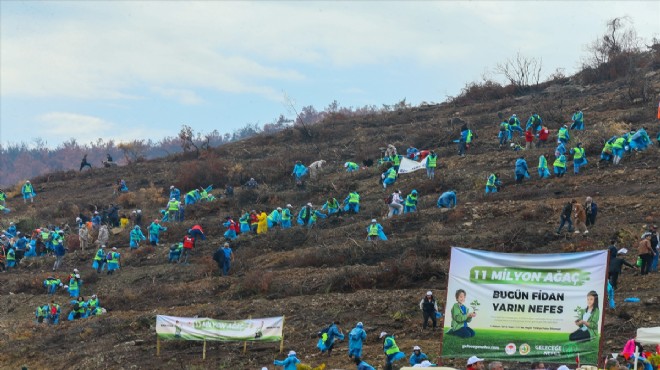 İzmir'de 1 milyon fidan toprakla buluşuyor