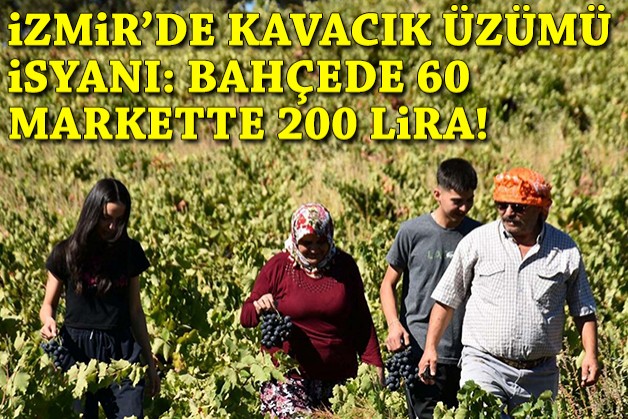 İzmir'de Kavacık Üzümü isyanı: Bahçede 60, markette 200 lira!