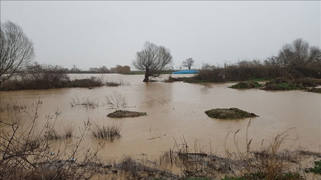 İzmir'de Küçük Menderes Nehri taştı, tarlalar su altında kaldı