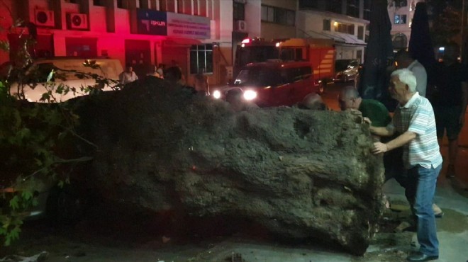 İzmir de ağaç devrildi: 1 yaralı