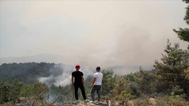 İzmir de alevlerle mücadelede son durum!