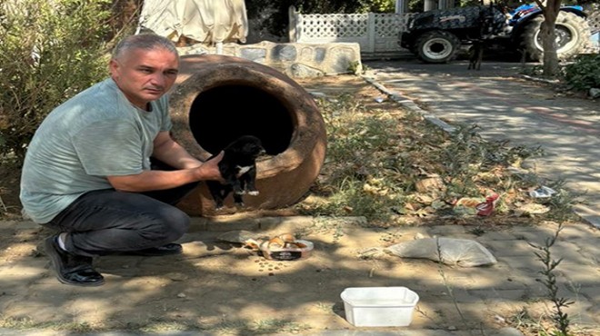 İzmir de vahşet: 15 can dost hayatını kaybetti... Soruşturma başlatıldı!