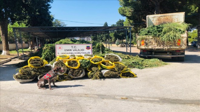 İzmir'de drone destekli 'zehir' operasyonu