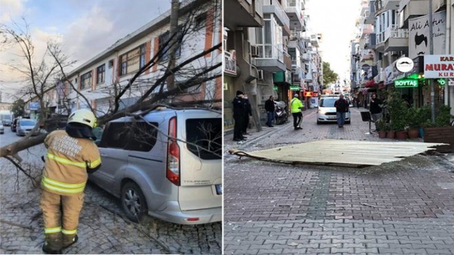 İzmir i fırtına vurdu: Ağaçlar devrildi, çatılar uçtu